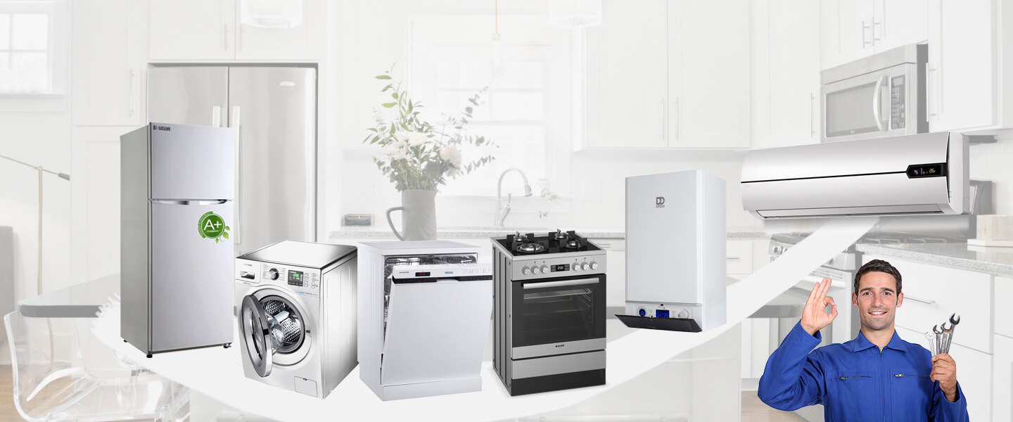 Yeşilli Warmhaus Servisi